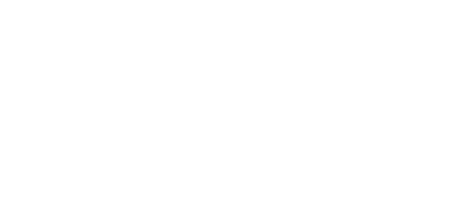 ALVIENZ logo